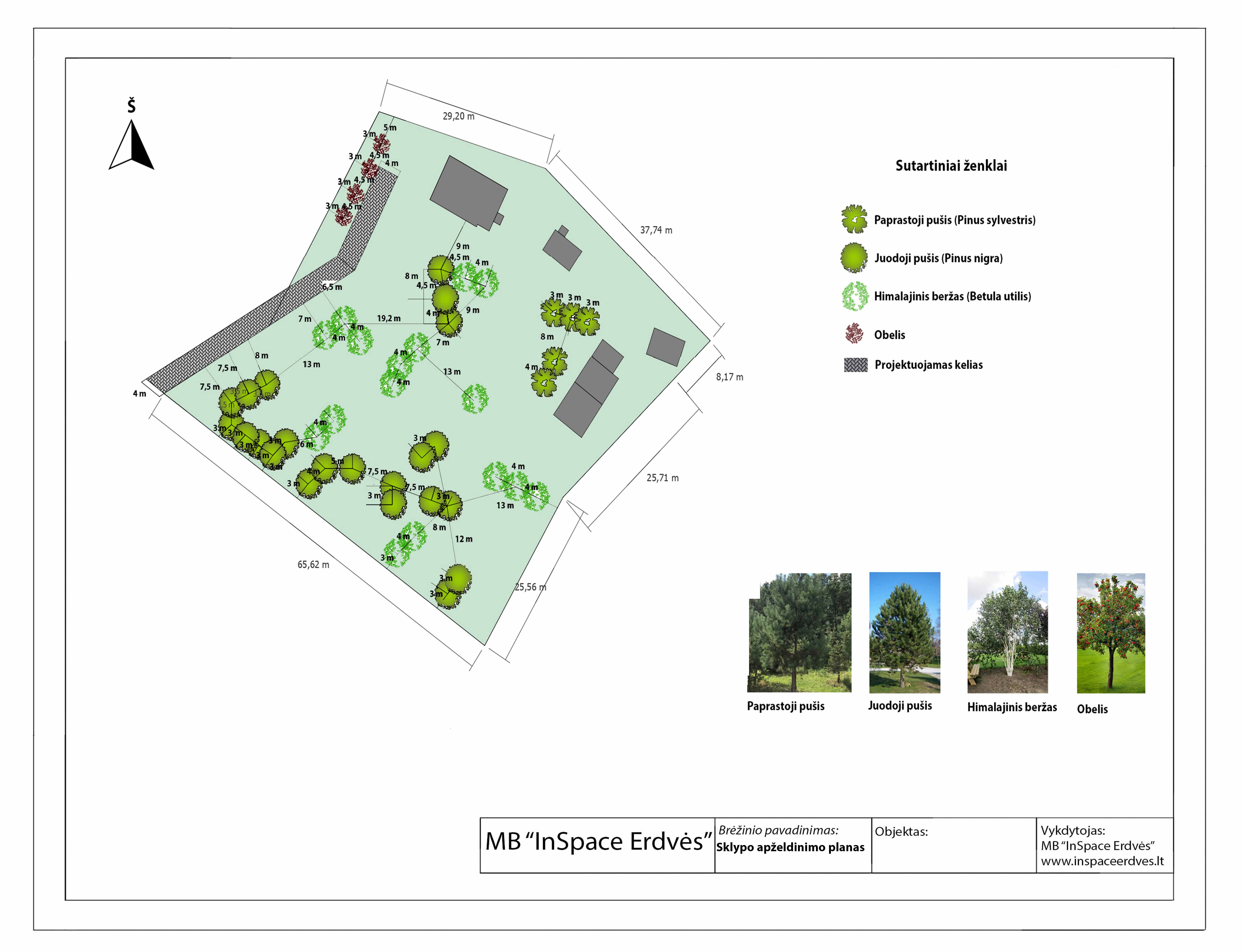 Kraštovaizdžio apželdinimo planas